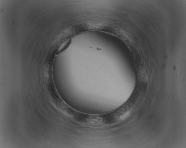 X0000067870215200604201226