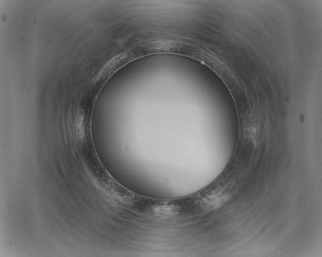 X0000067870216200604201226