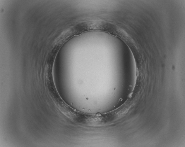 X0000067870217200604201226