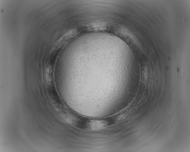 X0000067870218200604201226