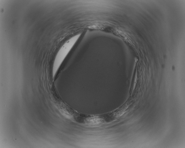 X0000067870219200604201226