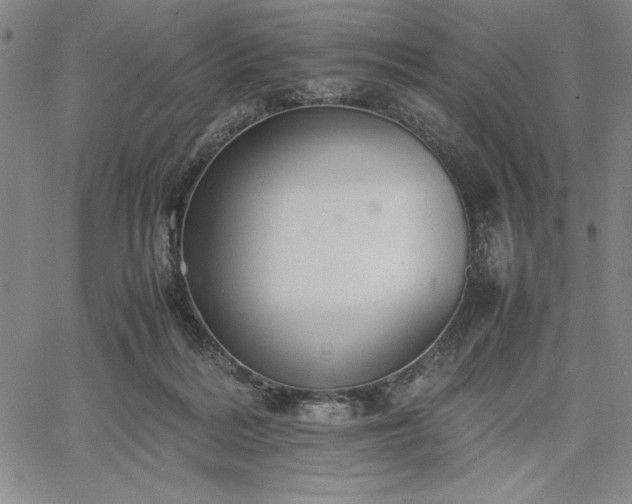 X0000067870220200604201226