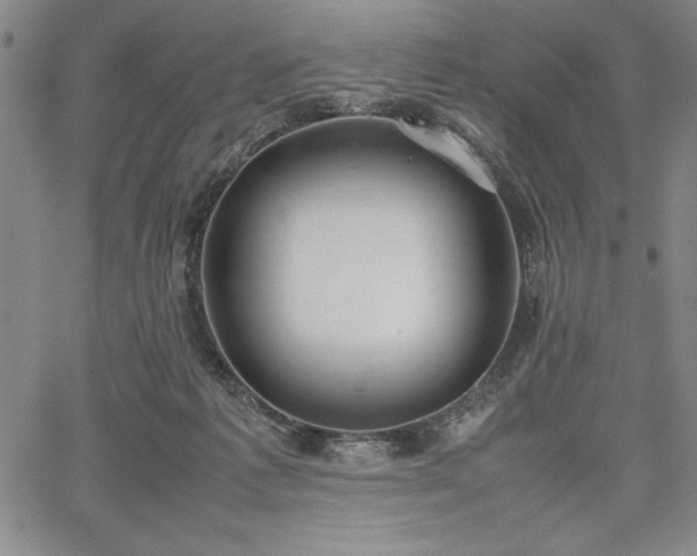 X0000067870221200604201226