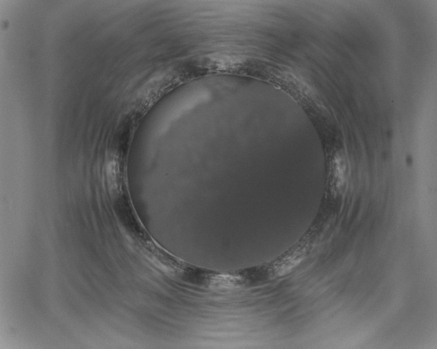 X0000067870222200604201226