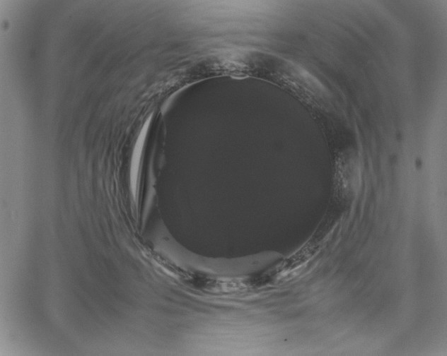 X0000067870223200604201226