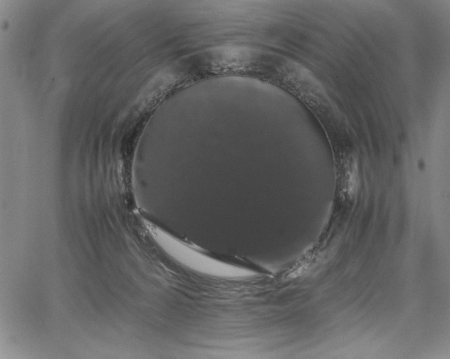 X0000067870224200604201226