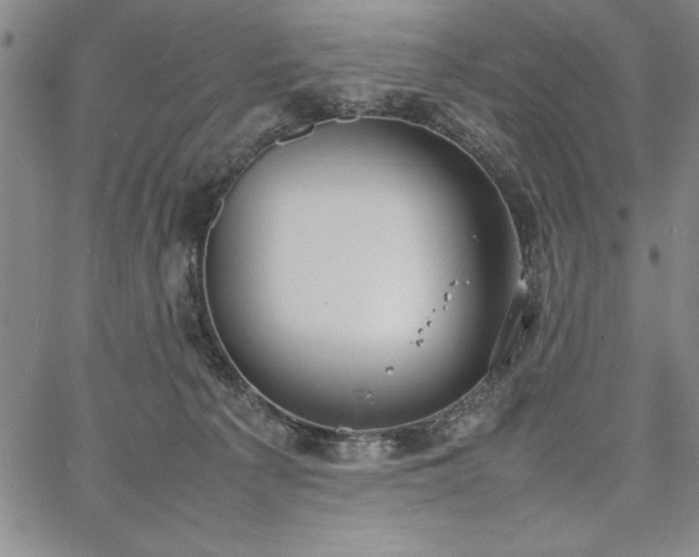 X0000067870225200604201226