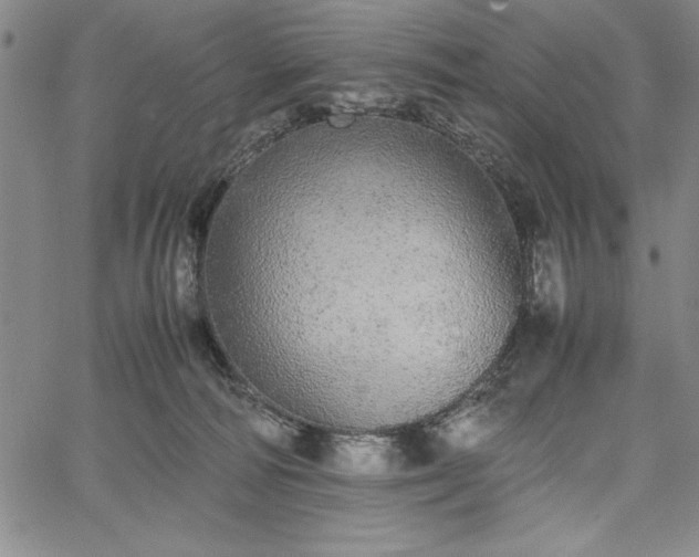 X0000067870226200604201226