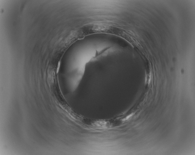 X0000067870227200604201226