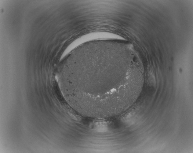 X0000067870228200604201226