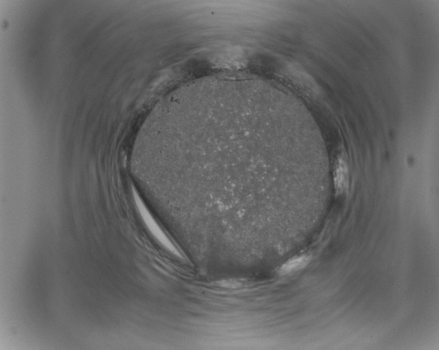 X0000067870229200604201226