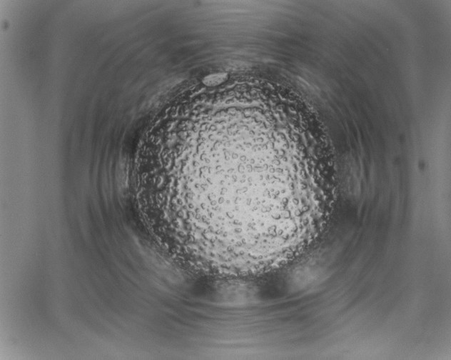 X0000067870230200604201226