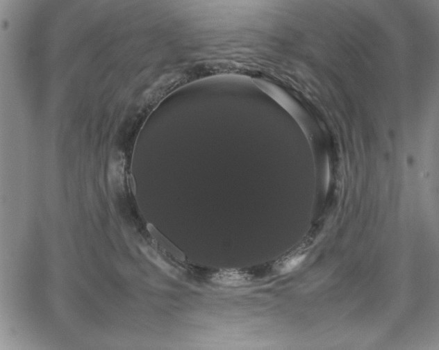 X0000067870231200604201226