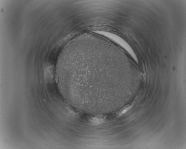 X0000067870232200604201226