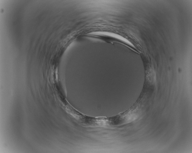 X0000067870233200604201226