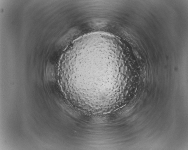 X0000067870234200604201226