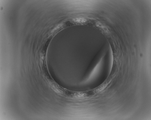 X0000067870235200604201226