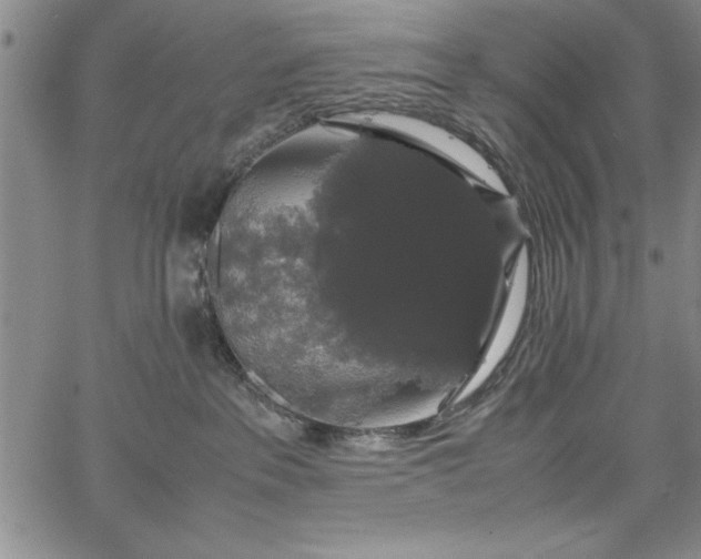 X0000067870237200604201226