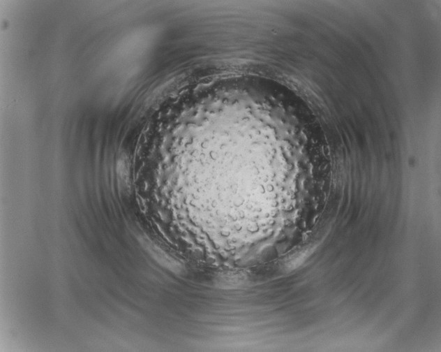 X0000067870238200604201226