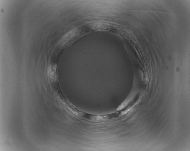 X0000067870239200604201226