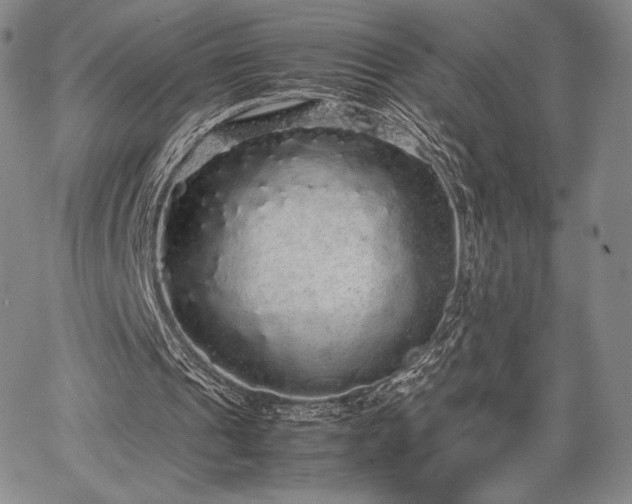 X0000067870241200604201225