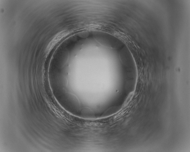 X0000067870242200604201225