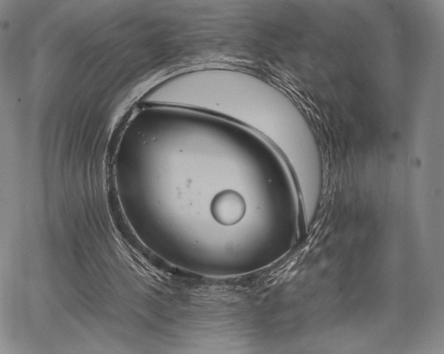 X0000067870244200604201225