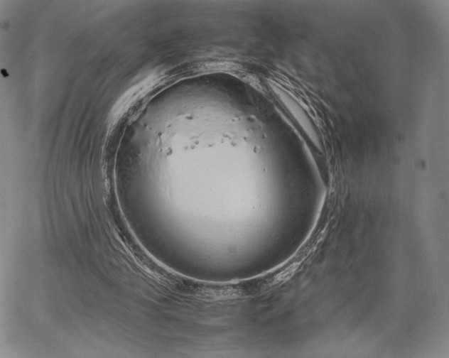 X0000067870245200604201225