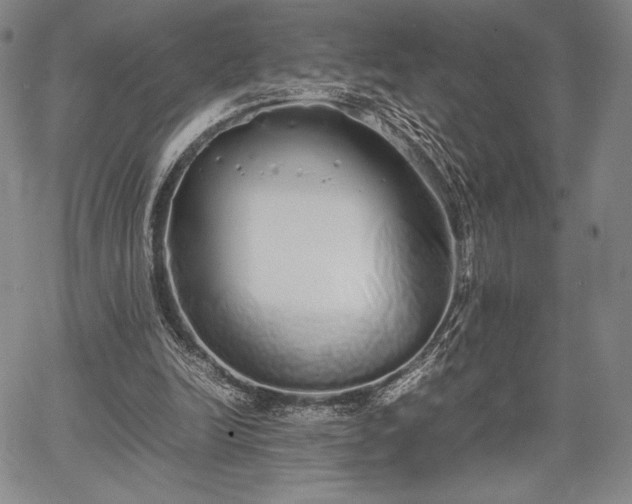 X0000067870246200604201225