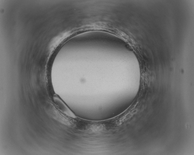 X0000067870248200604201225