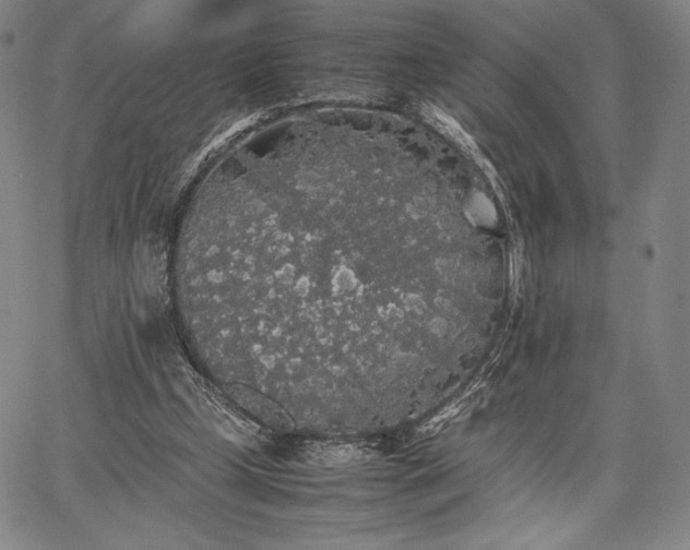 X0000067870249200604201225