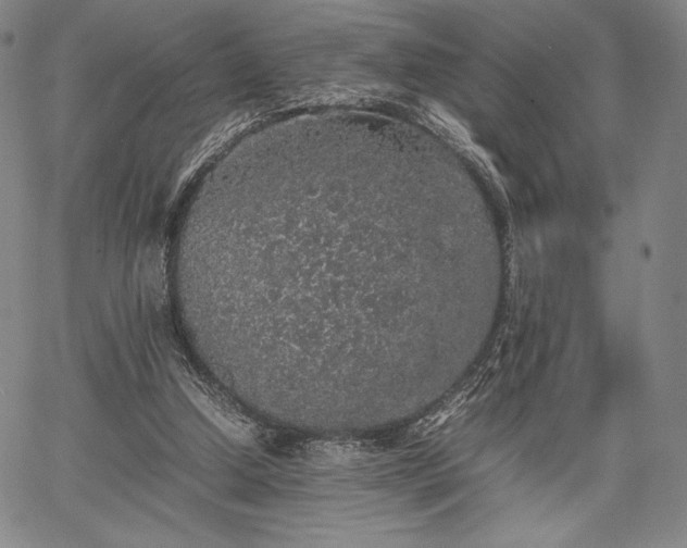 X0000067870250200604201225