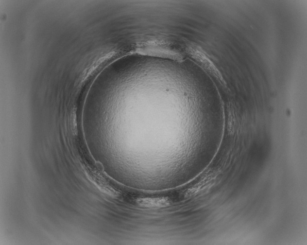 X0000067870251200604201225