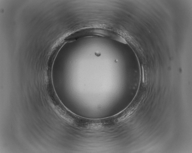 X0000067870252200604201225