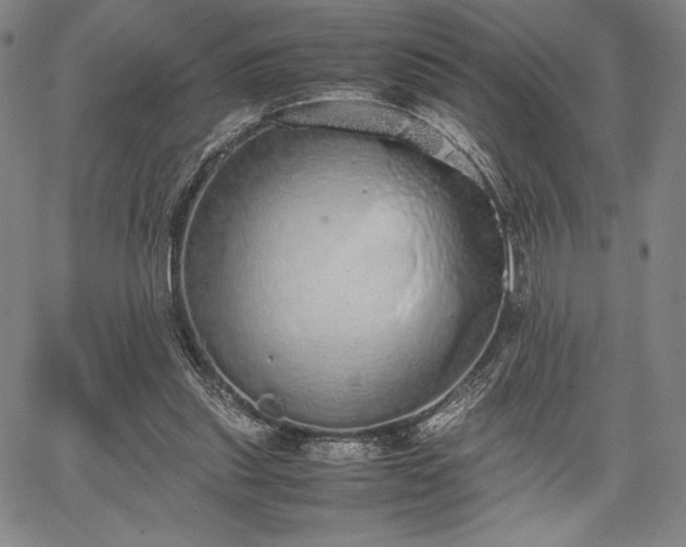 X0000067870253200604201225