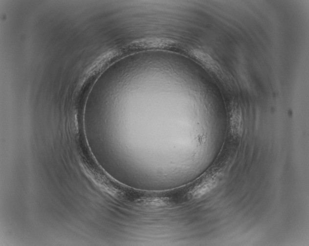 X0000067870254200604201225