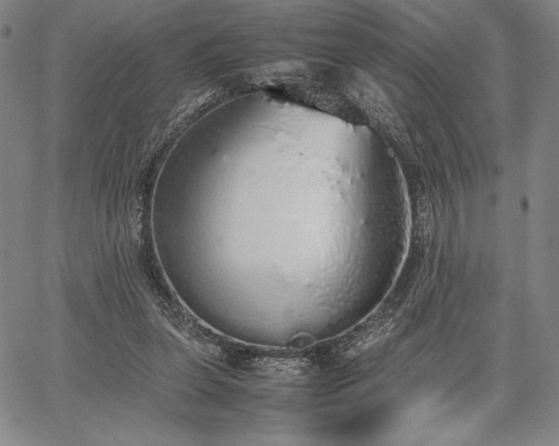 X0000067870255200604201225