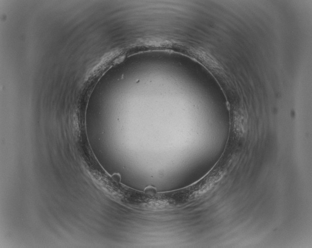 X0000067870256200604201225