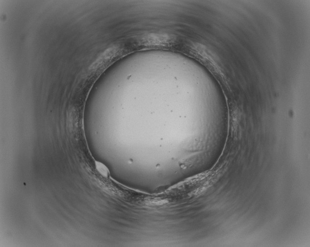 X0000067870257200604201225