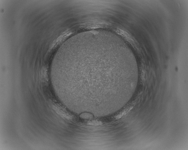 X0000067870258200604201225