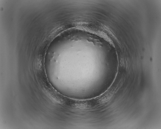 X0000067870259200604201225