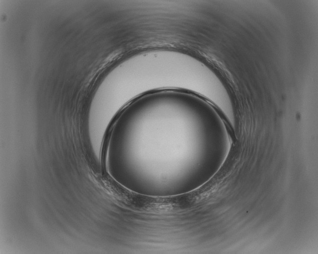 X0000067870260200604201225