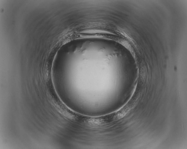 X0000067870261200604201225