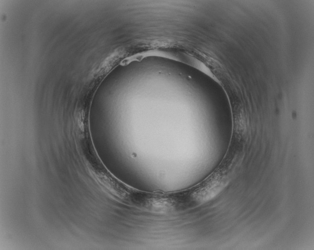 X0000067870264200604201225