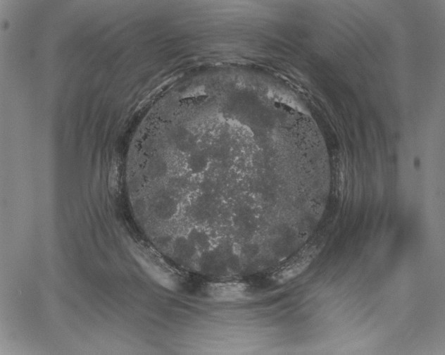 X0000067870266200604201225