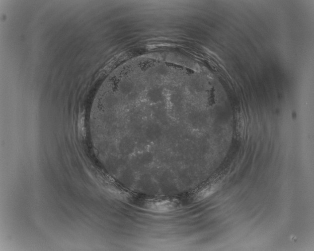 X0000067870267200604201225