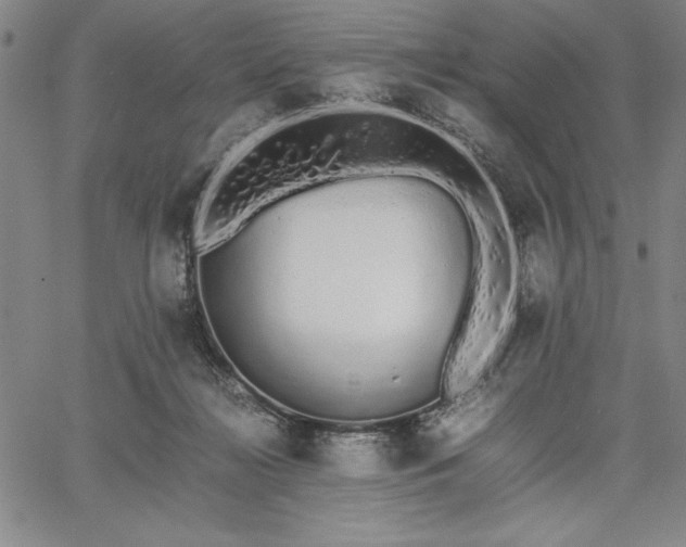 X0000067870268200604201225