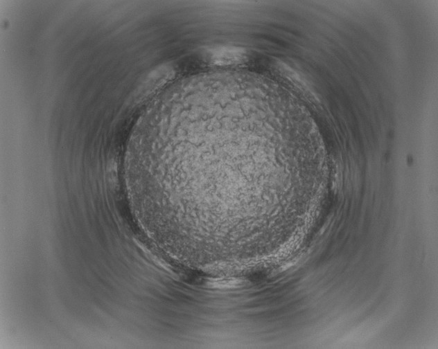 X0000067870269200604201225