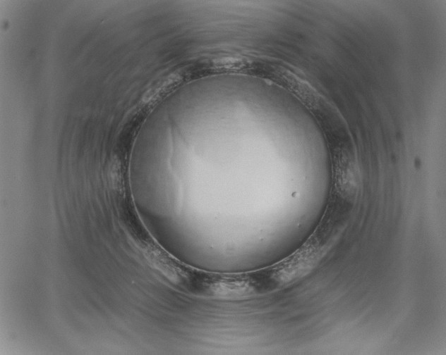 X0000067870270200604201225