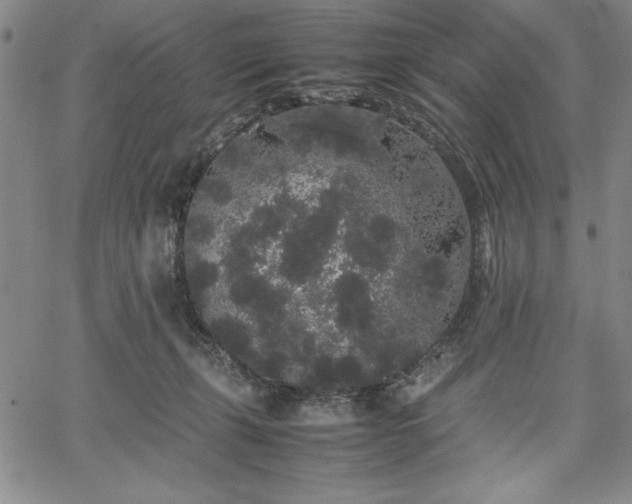 X0000067870271200604201225